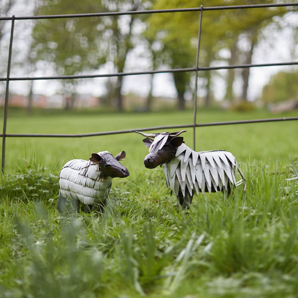 Sheep Sculpture - Angela Reed -