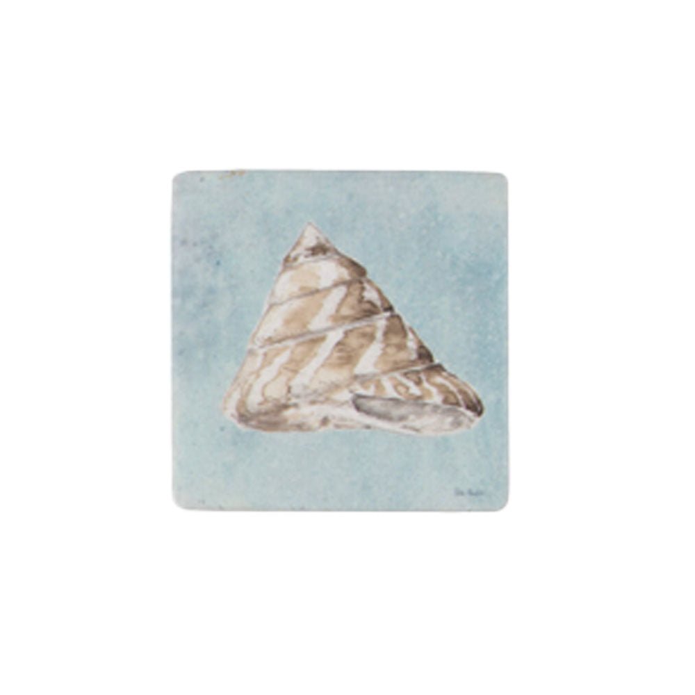 Shell Coaster