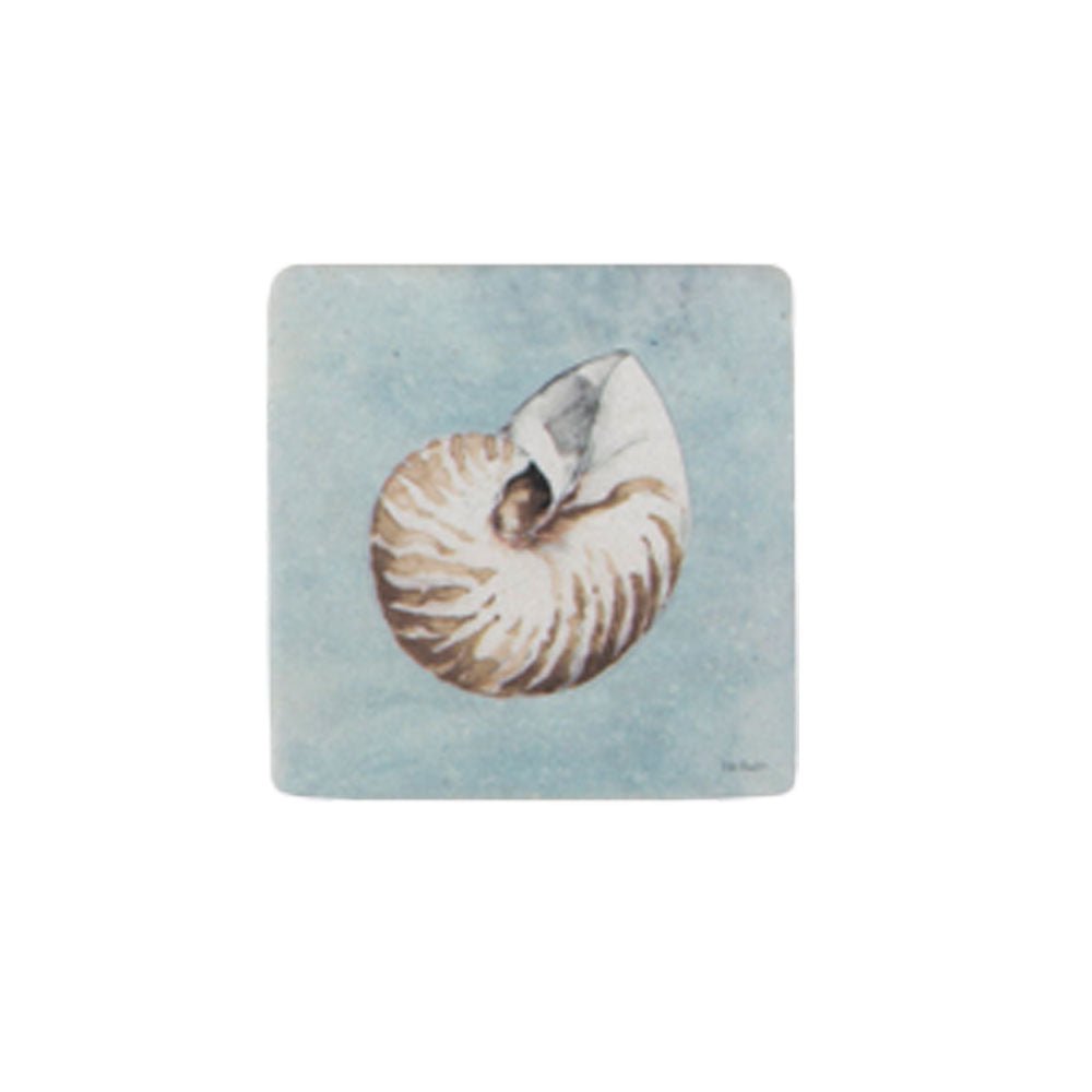 Shell Coaster