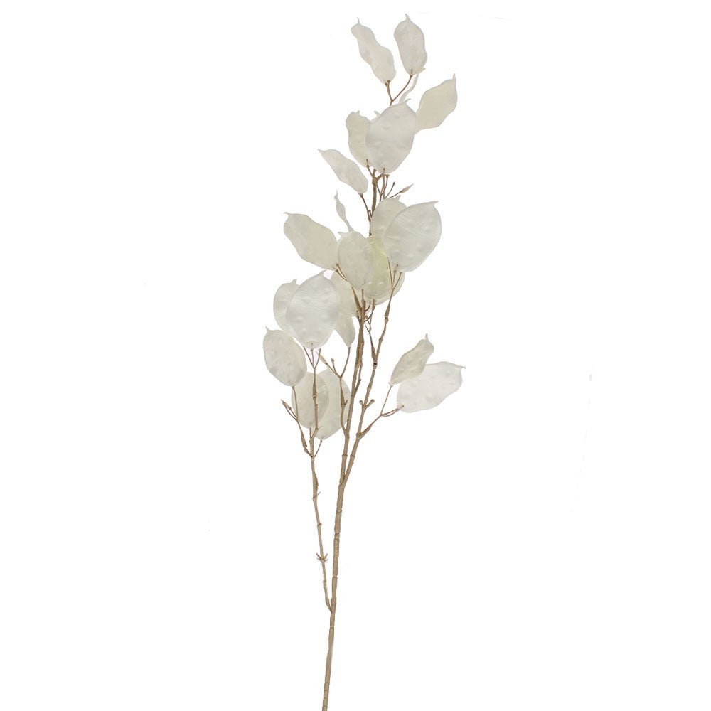 Silver Dollars Spray