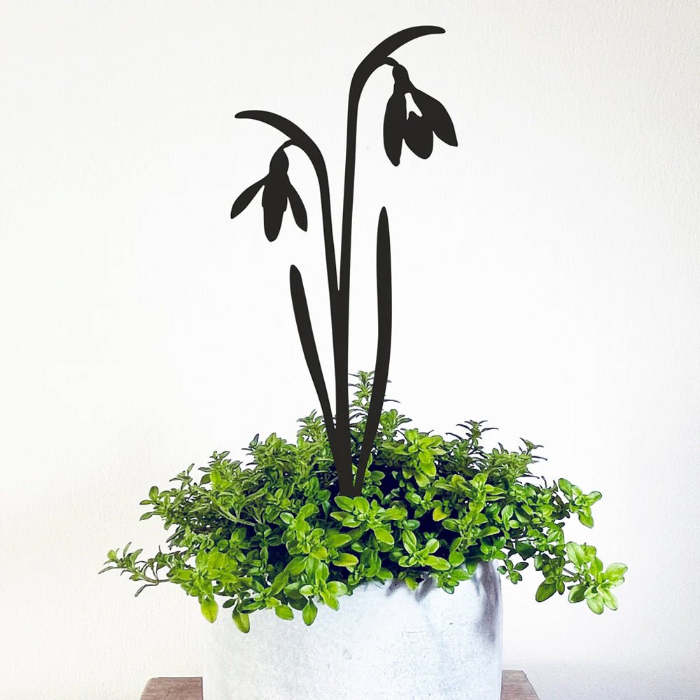 Snowdrops Pot Stem