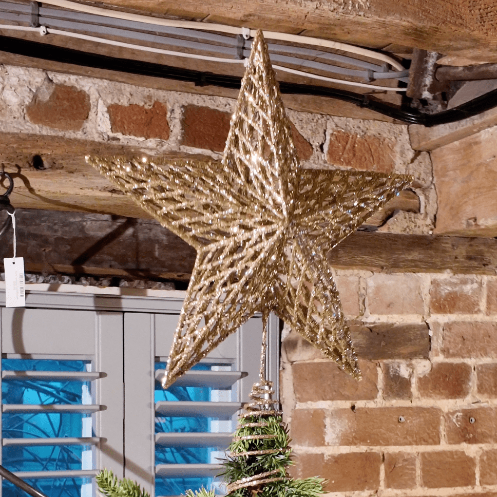 Star Tree Topper 35cm, Champagne - Angela Reed - Christmas Decorations
