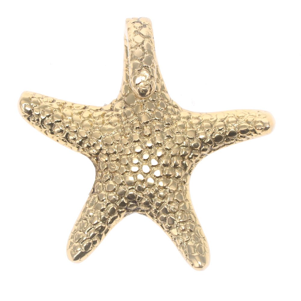 Starfish Hook, Gold - Angela Reed -