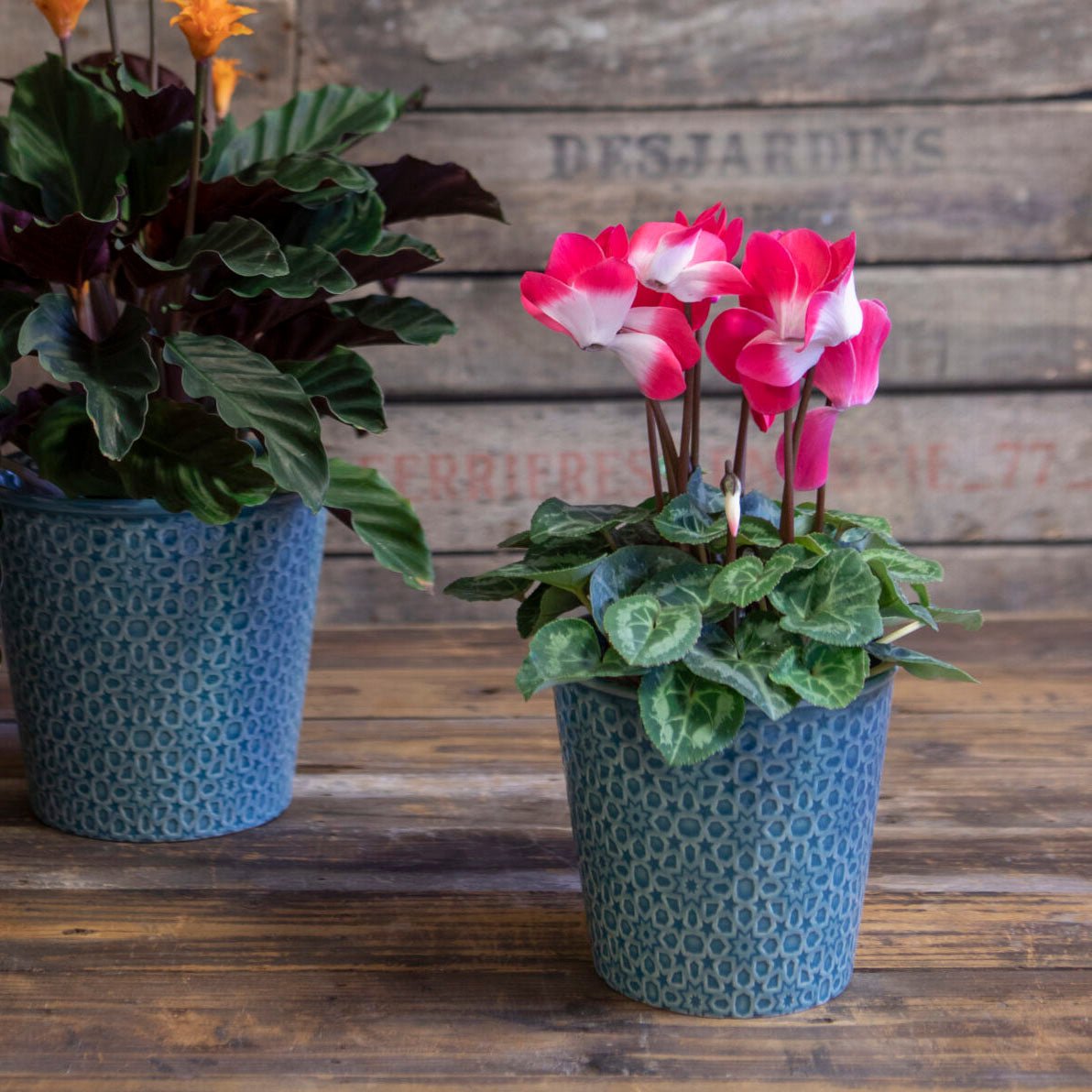 Teal Estelle Pot, Small