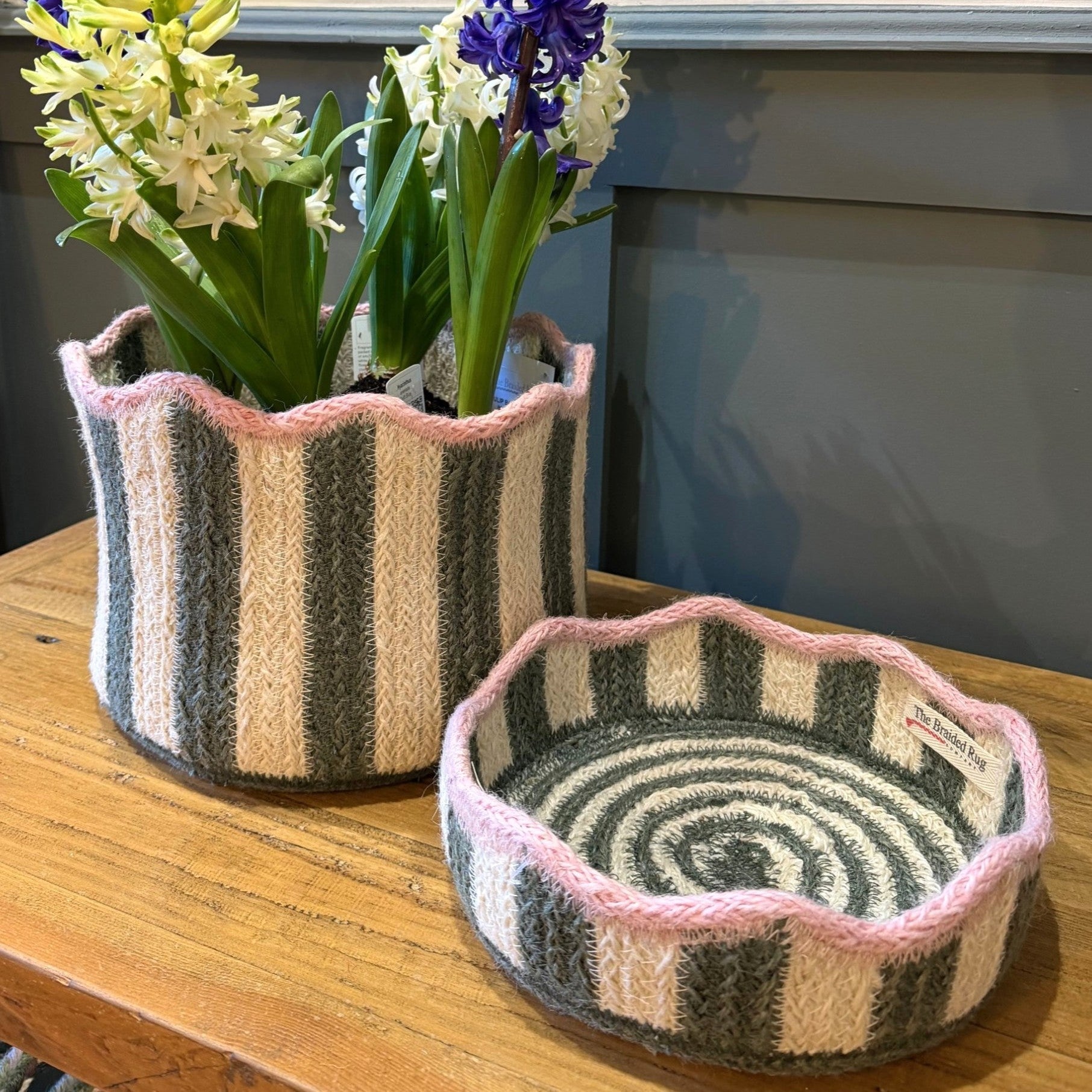 Tulip Basket Fig - Angela Reed -