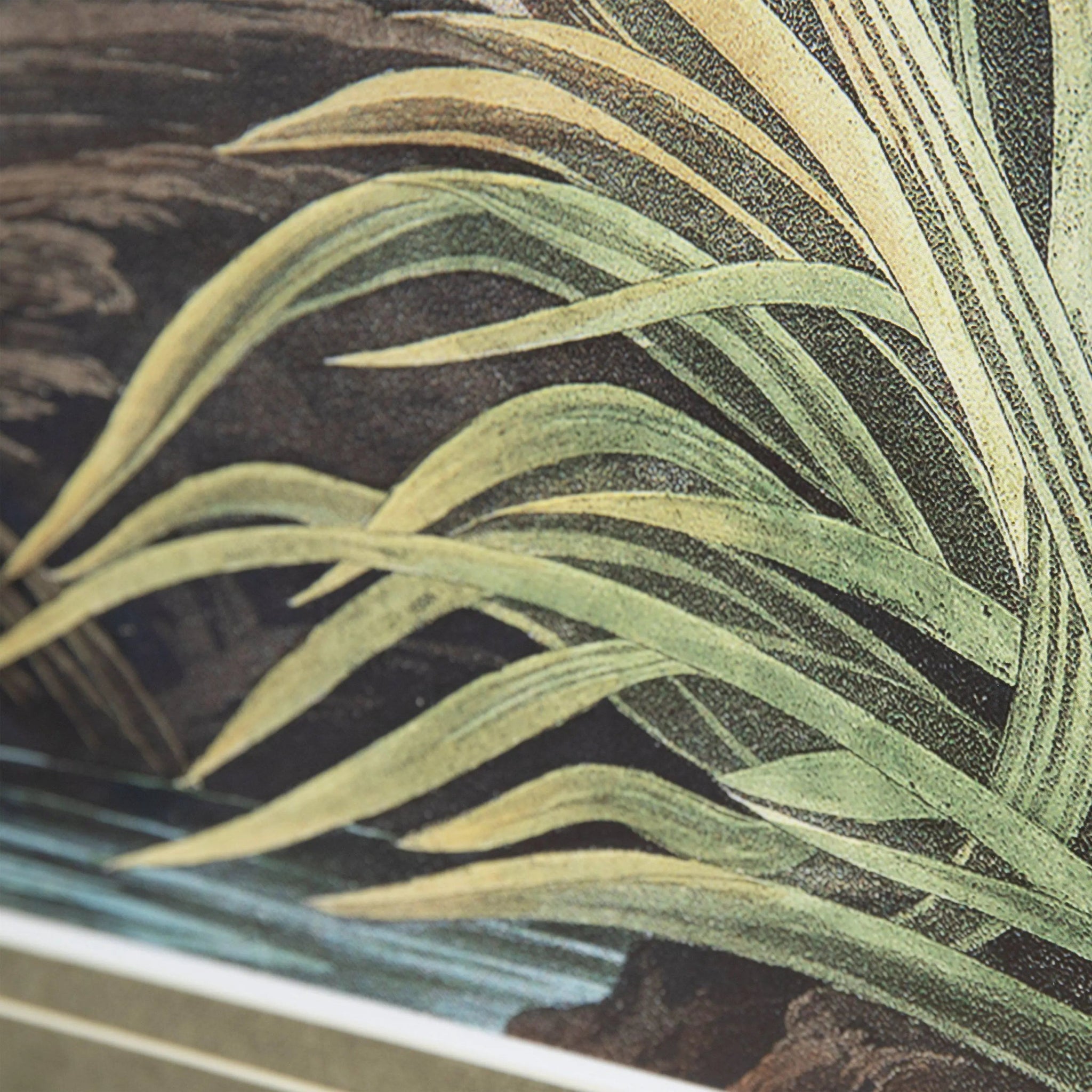 Vintage Blue Heron Framed Art