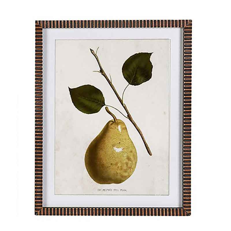 Vintage Style Pear Prints