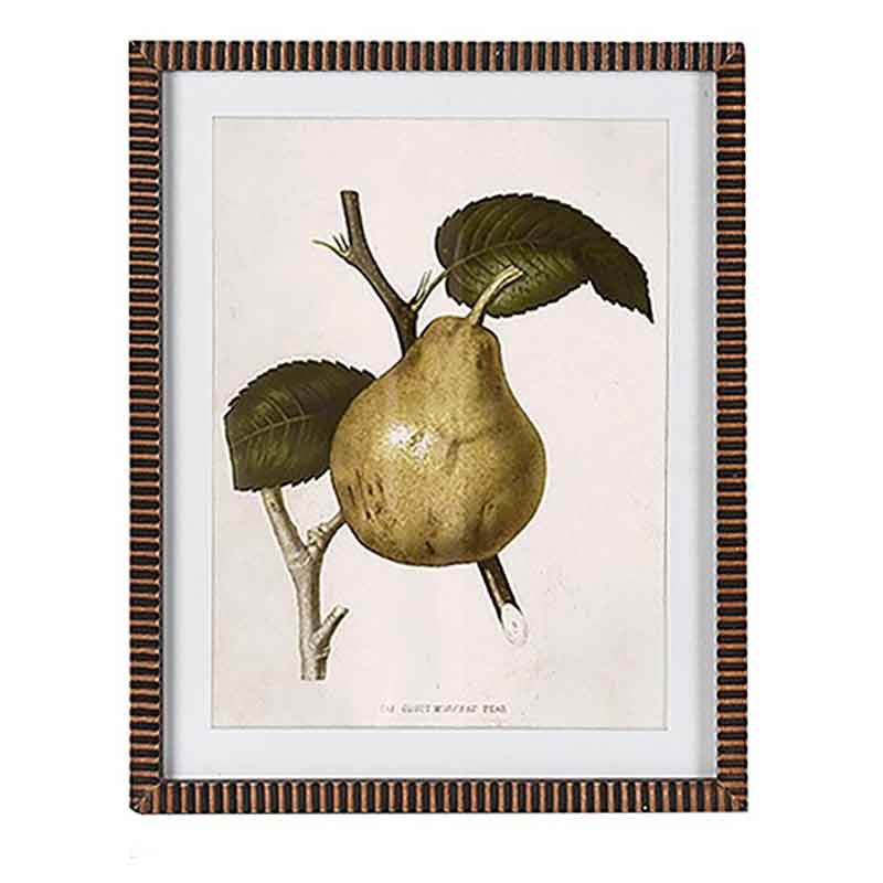 Vintage Style Pear Prints