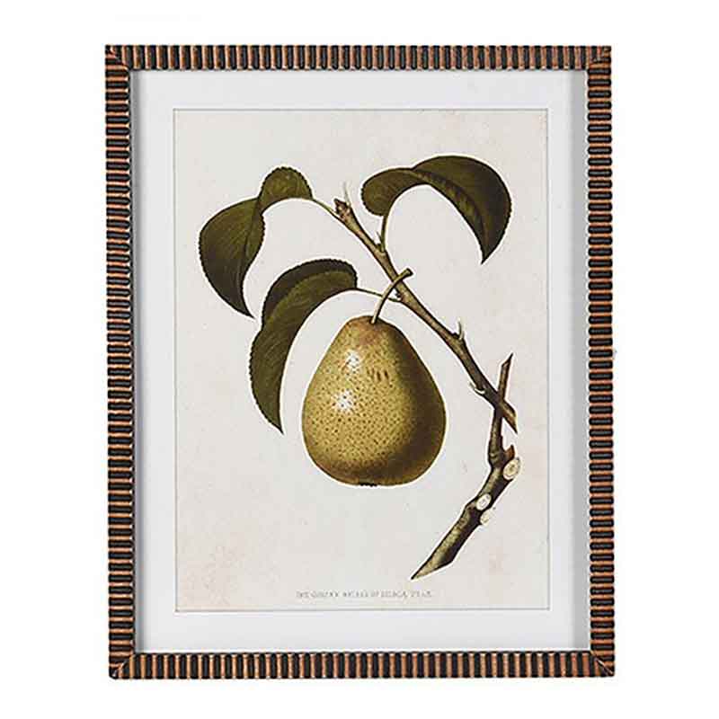Vintage Style Pear Prints