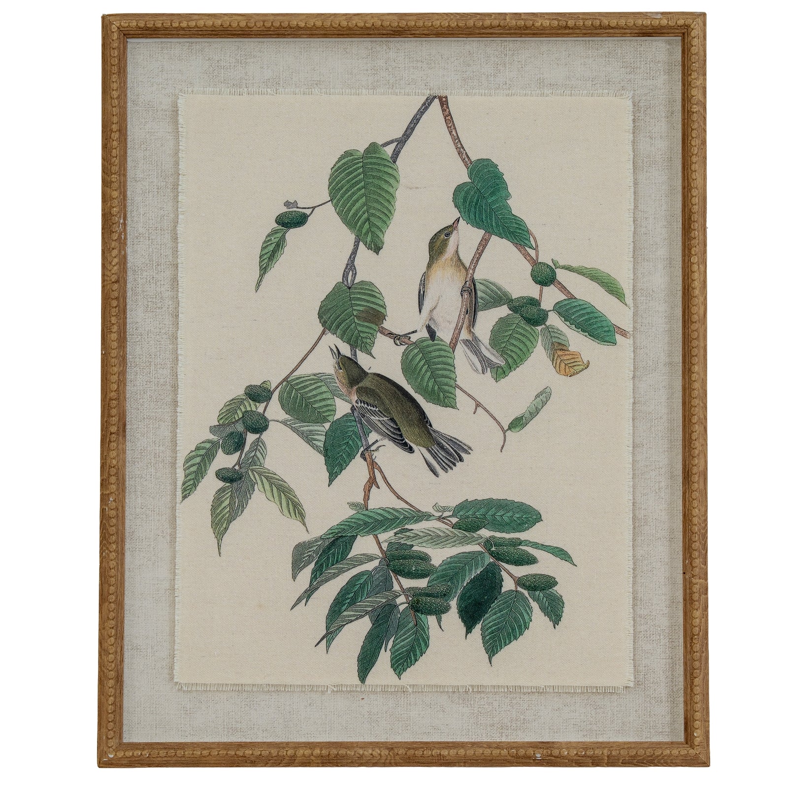 Vintage Style Warblers On Linen In Wooden Frame