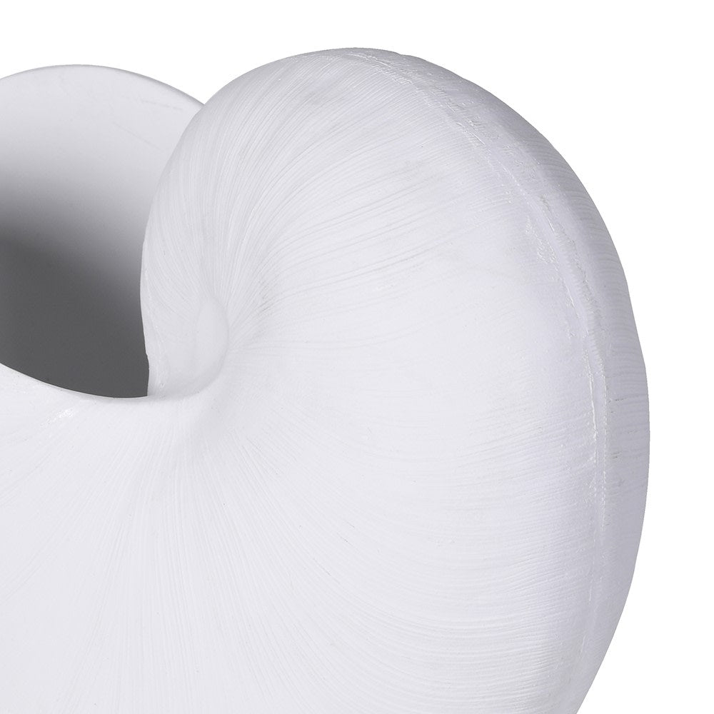 White Coral Nautilus Shell