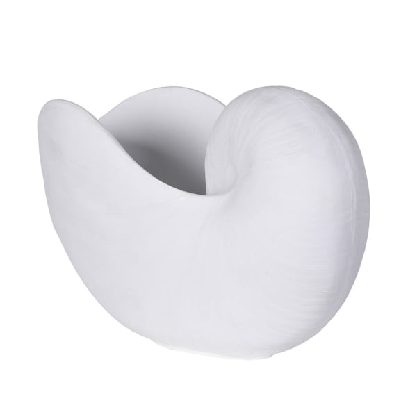 White Coral Nautilus Shell