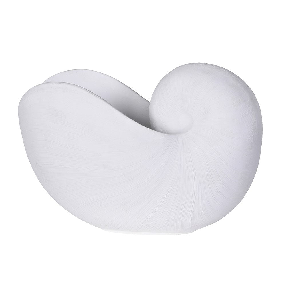 White Coral Nautilus Shell