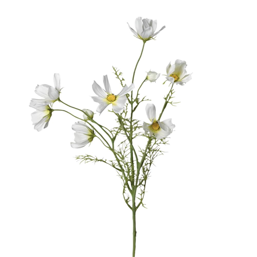 White Cosmos Spray