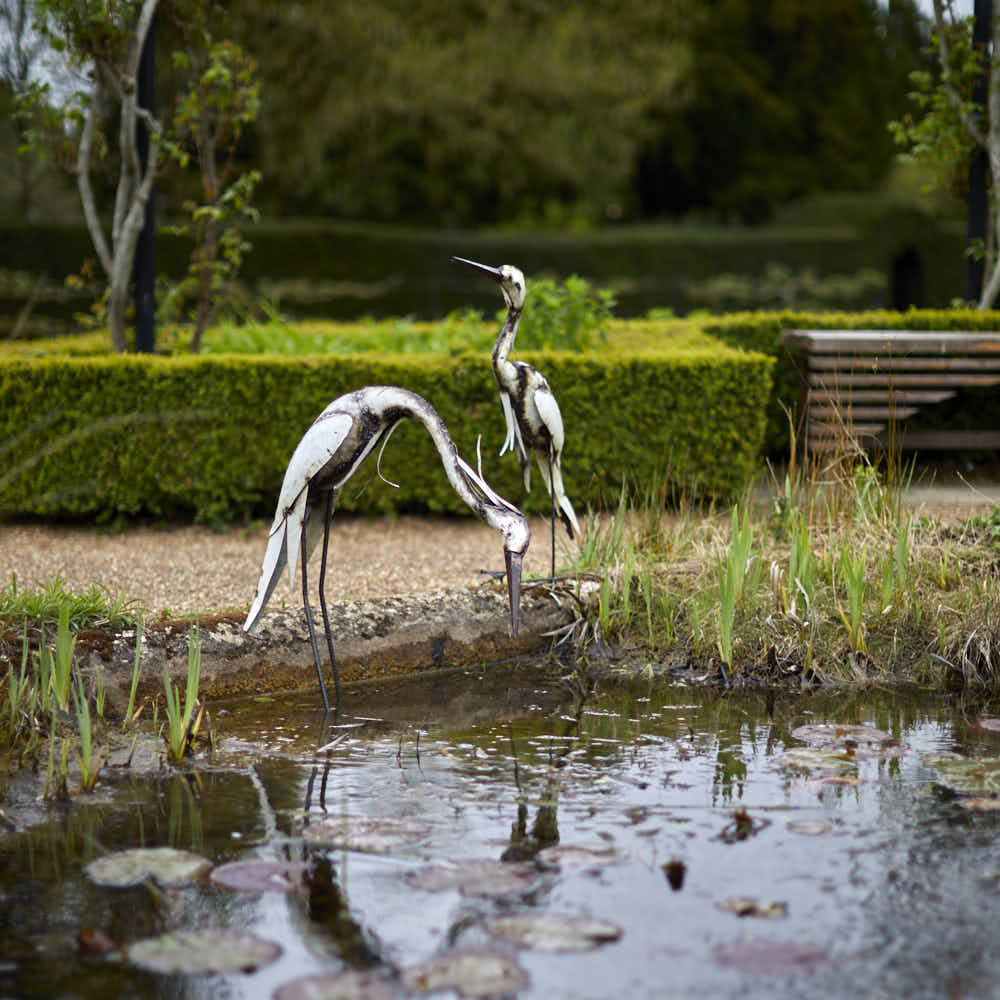 White Egret - Angela Reed -