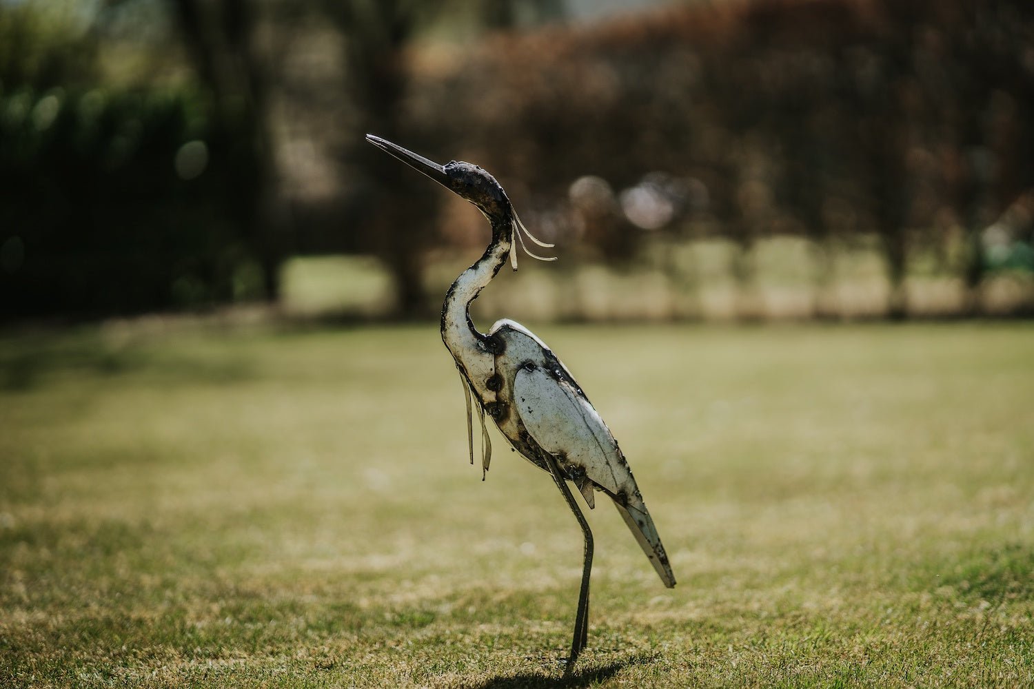 White Egret - Angela Reed -