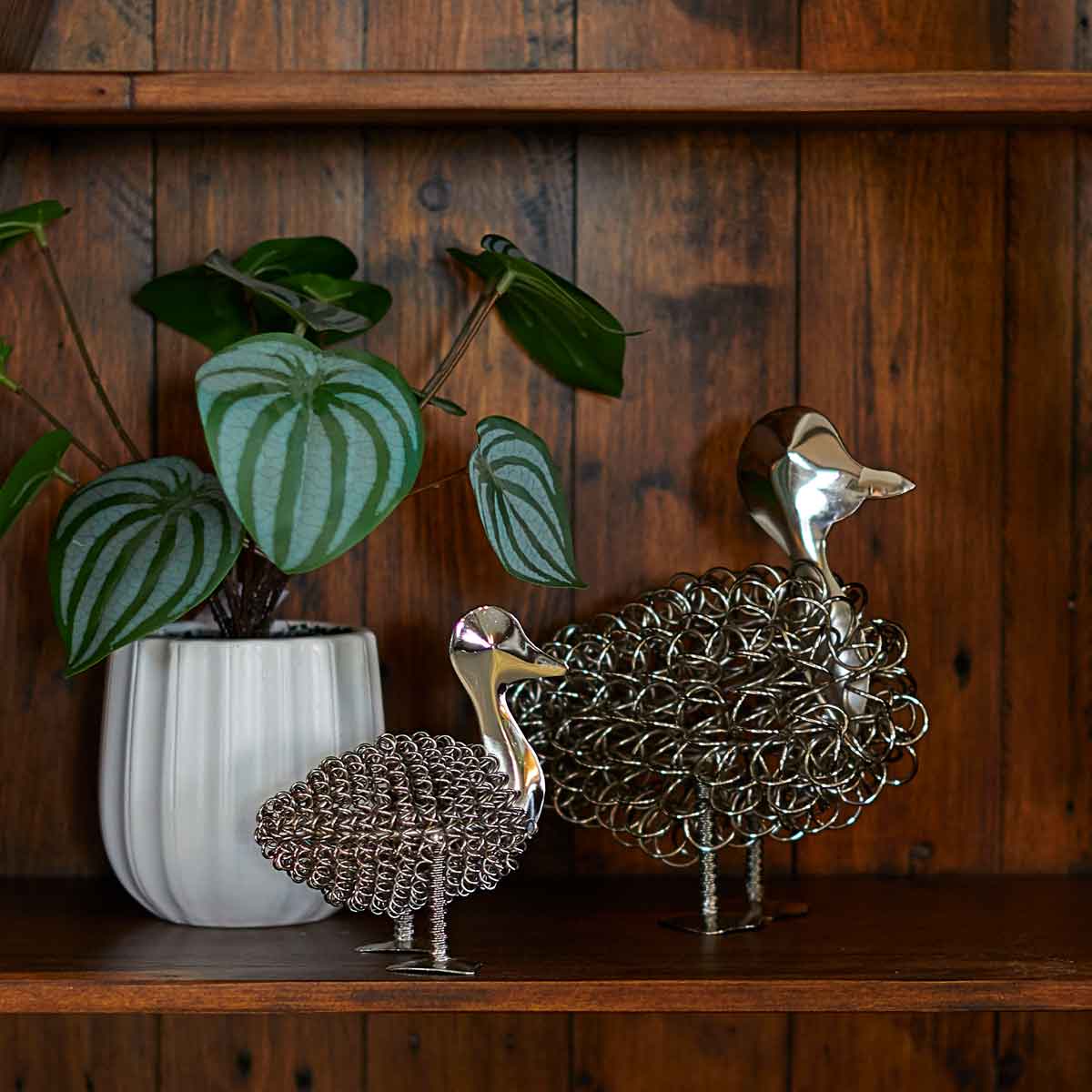 Wiggle Mother Duck, Nickel