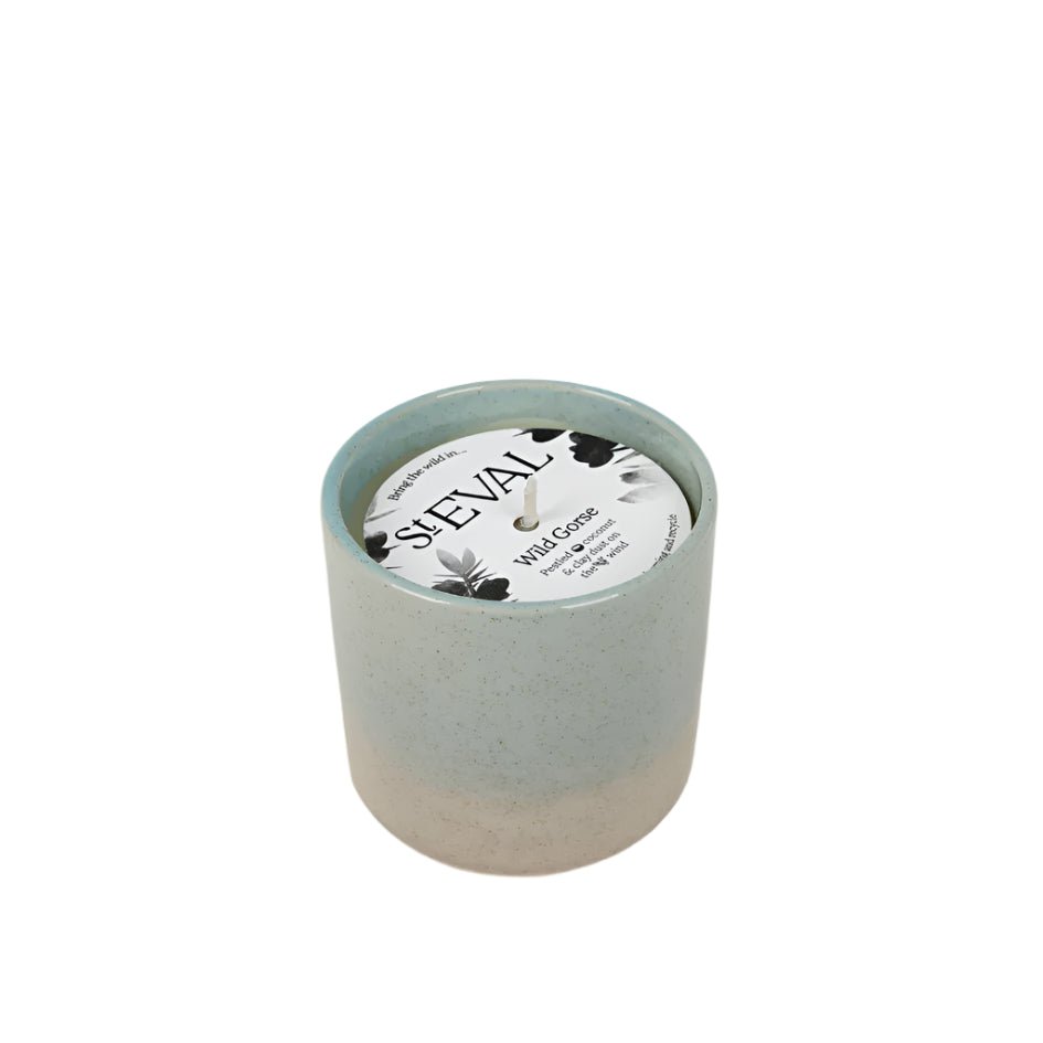 Wild Gorse, Sea & Shore Pot