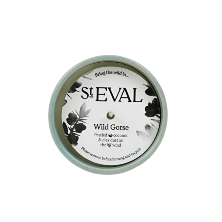 Wild Gorse, Sea & Shore Pot