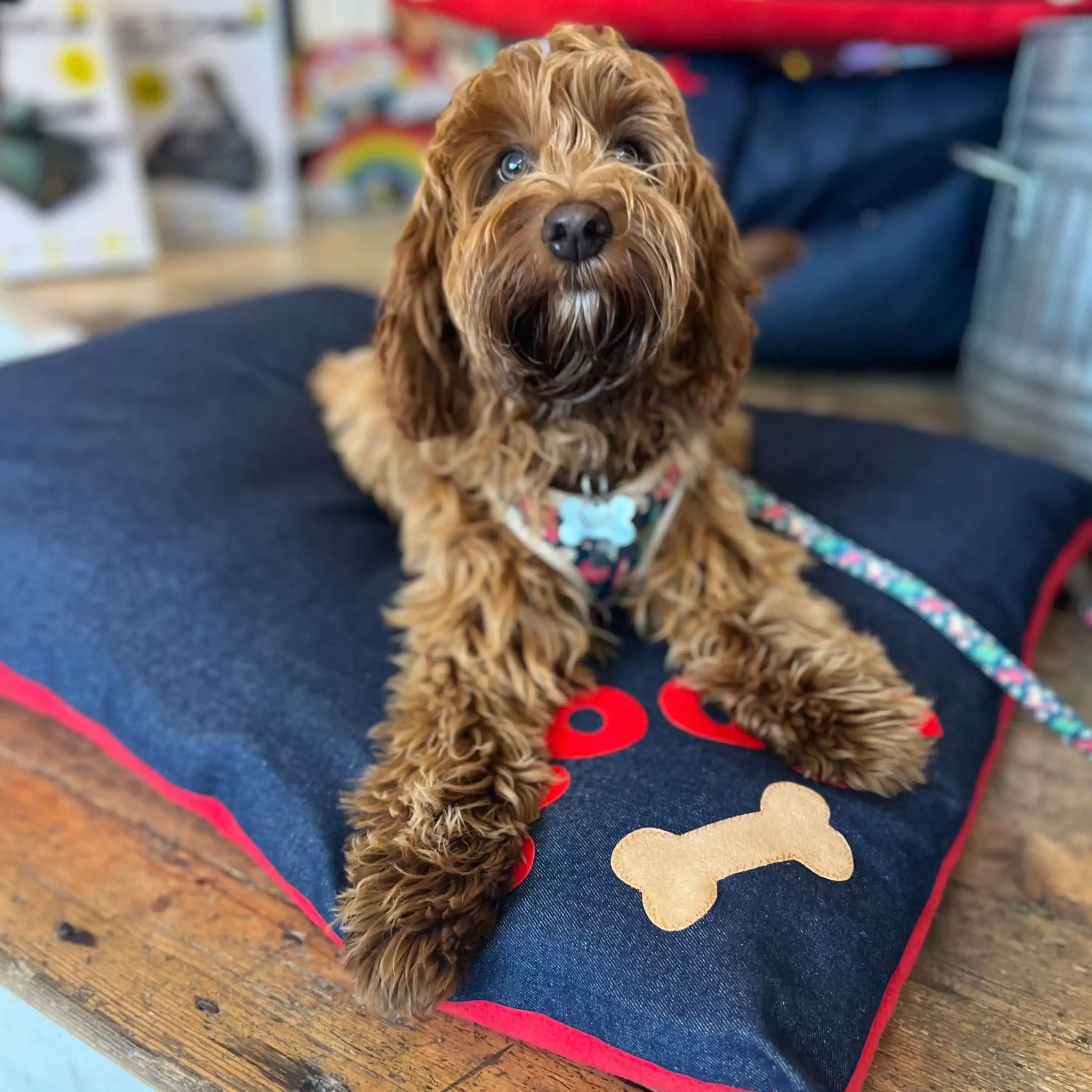Woof Dog Bed, Large Duck Egg - Corner Woof,Denim/Red - Corner Woof