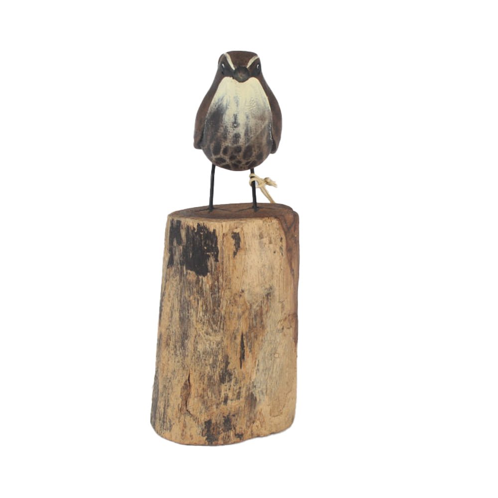 Wren on a Stump - Angela Reed -