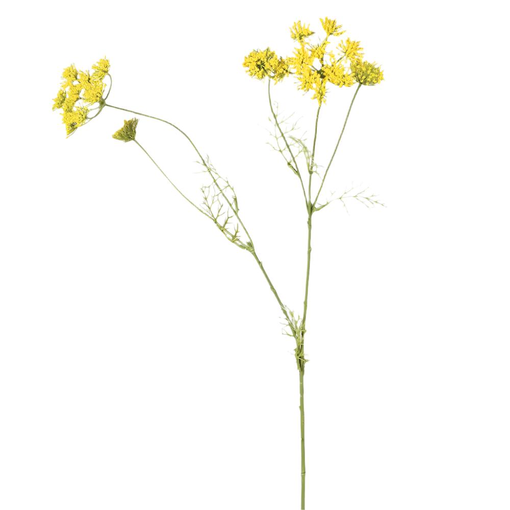 Yellow Wild Fennel Spray