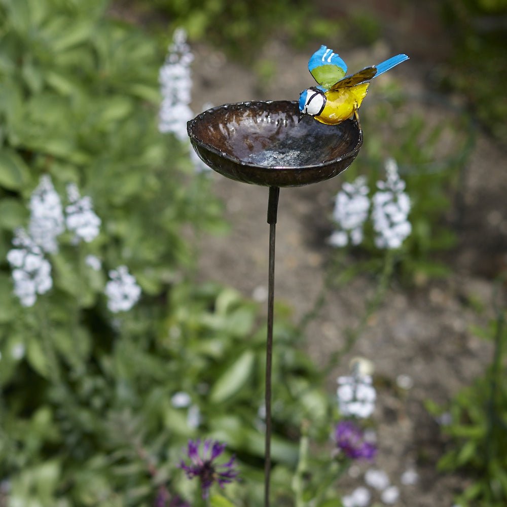 Blue Tit Bird Feeder, Small