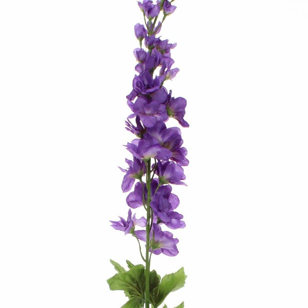 Delphinium, Lavender