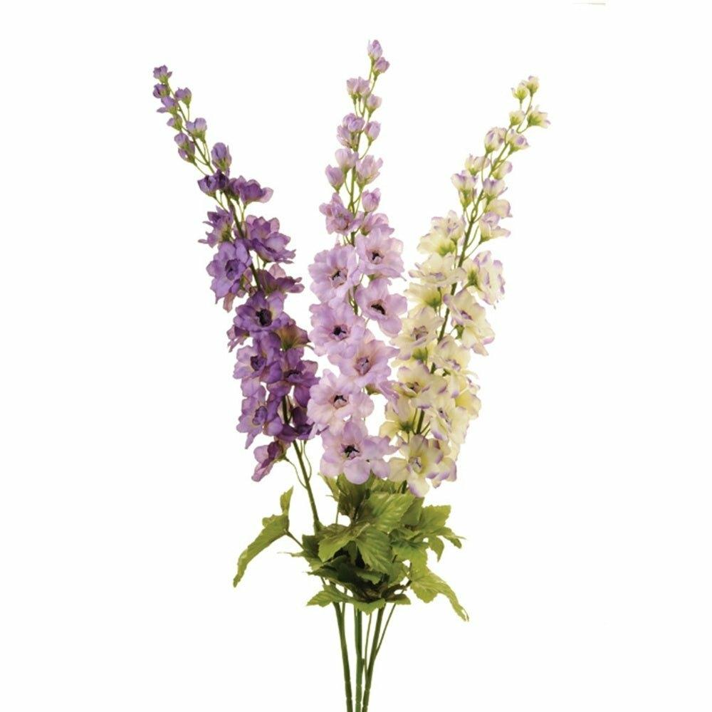 Delphinium, Lavender