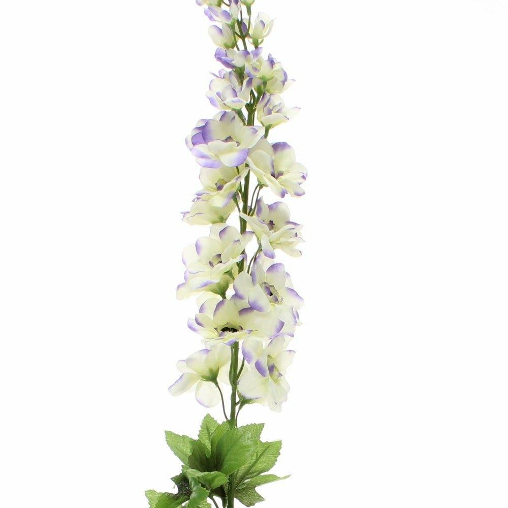 Delphinium, Lavender