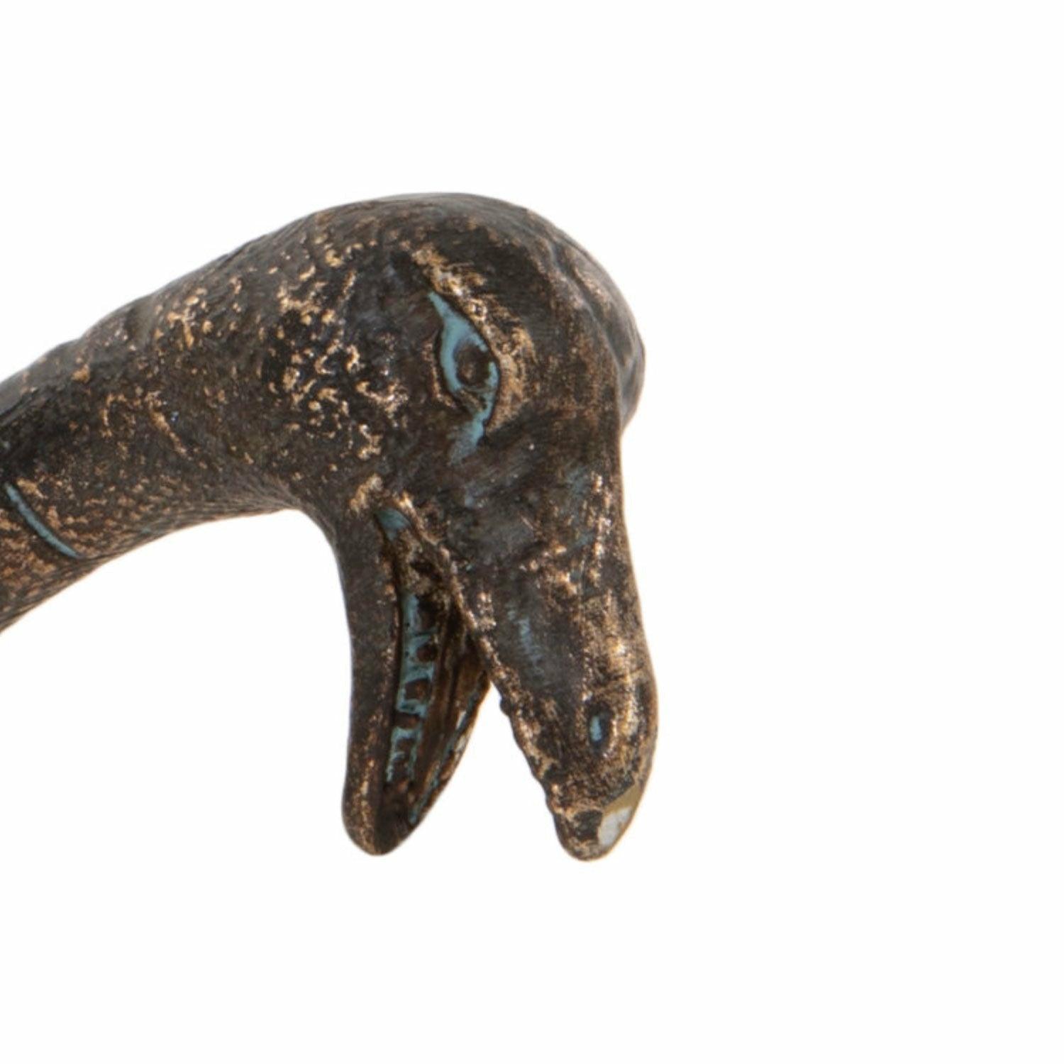 Dino Hook, Brachiosaurus