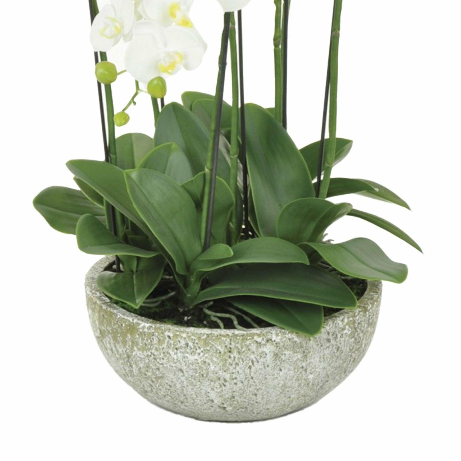 Faux Orchid in Pot, Large