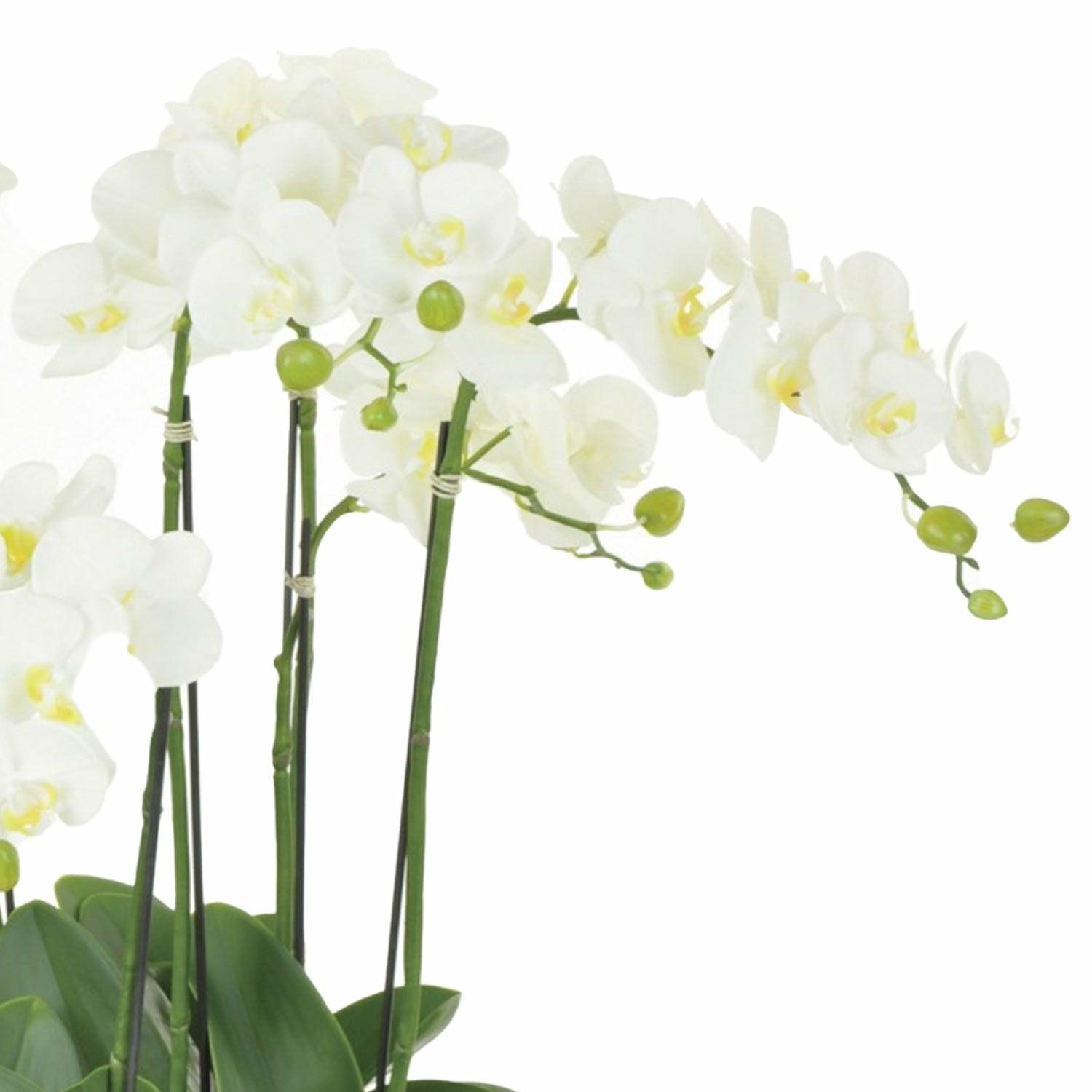 Faux Orchid in Pot, Large