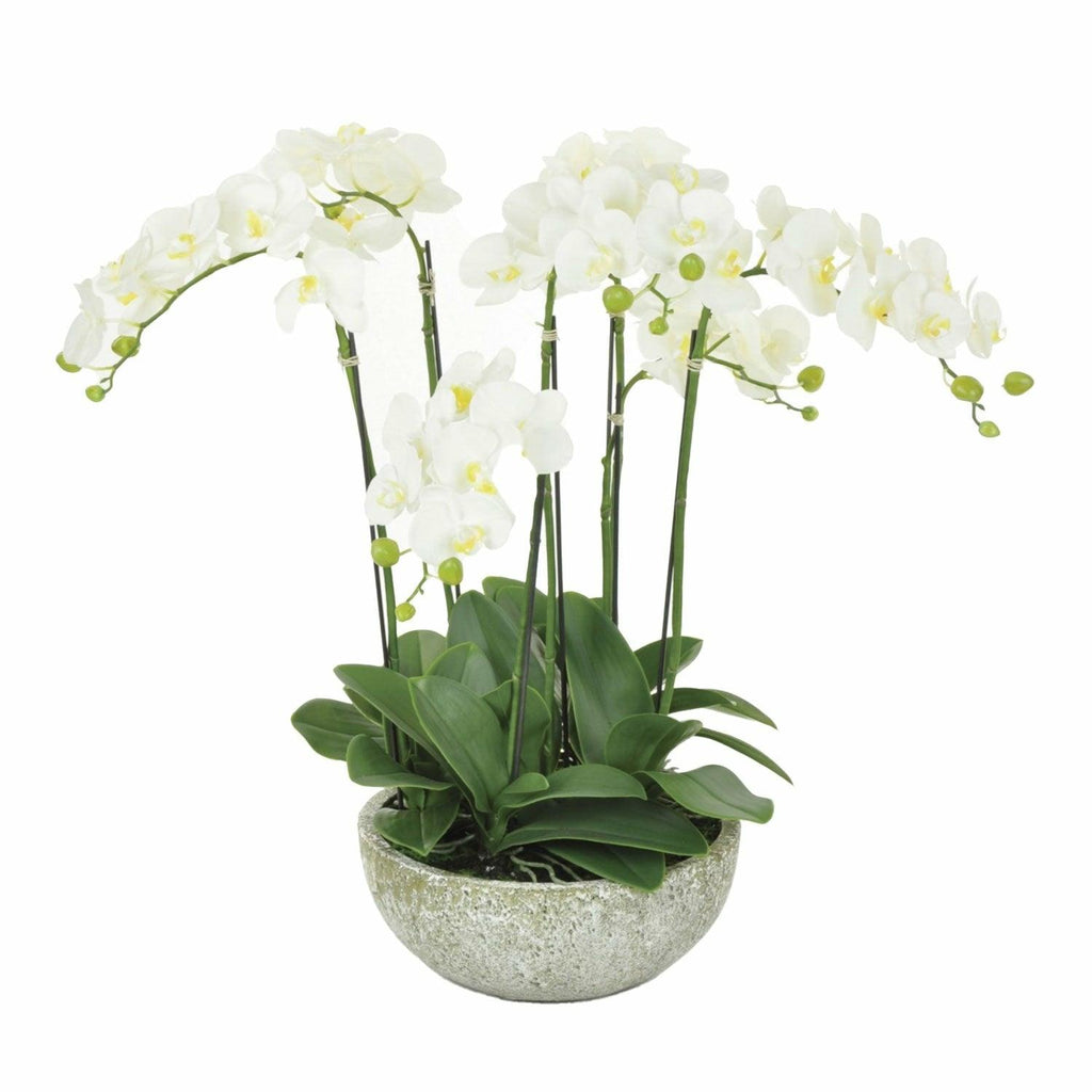 Faux Orchid in Pot, Large