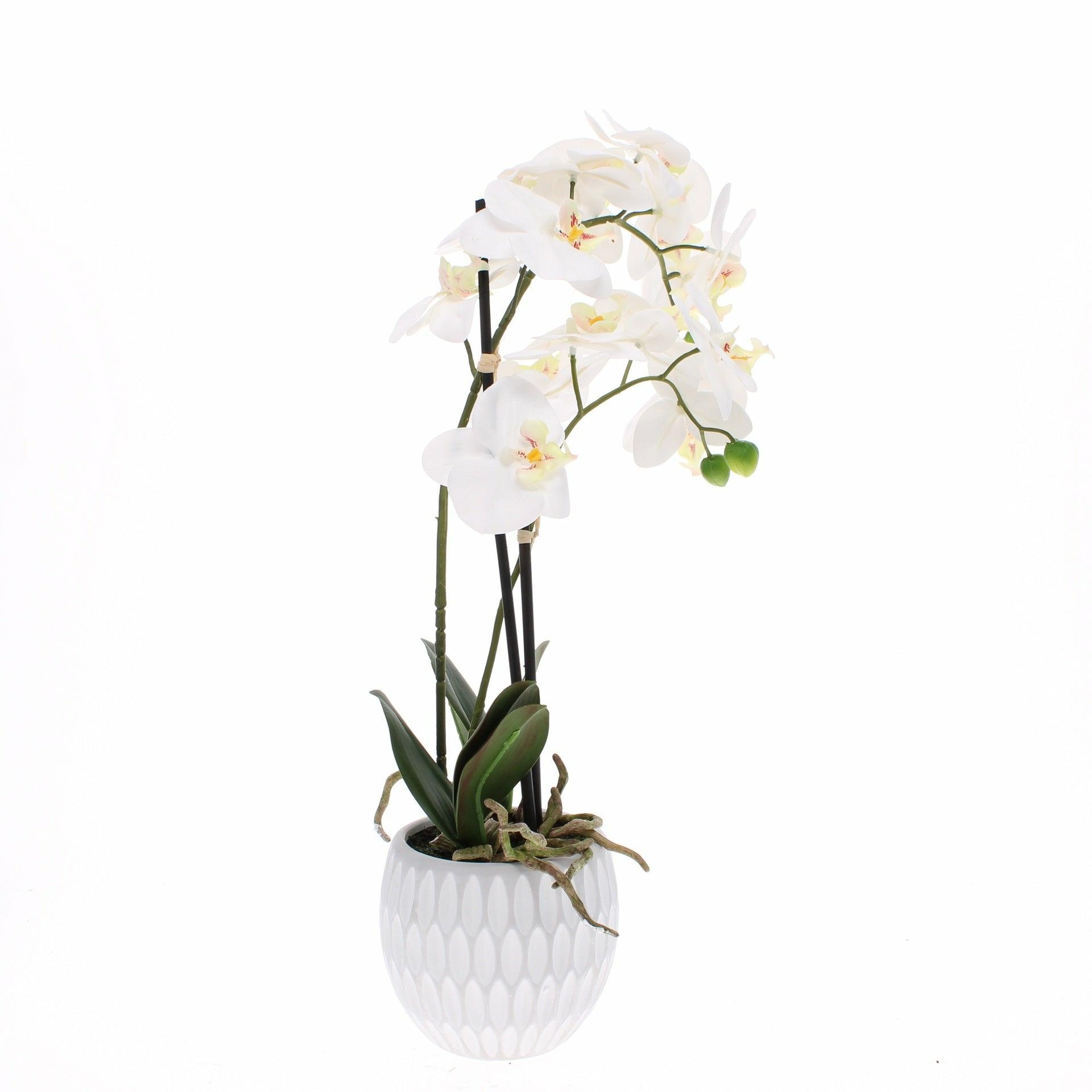 Faux Orchid in Pot, Medium