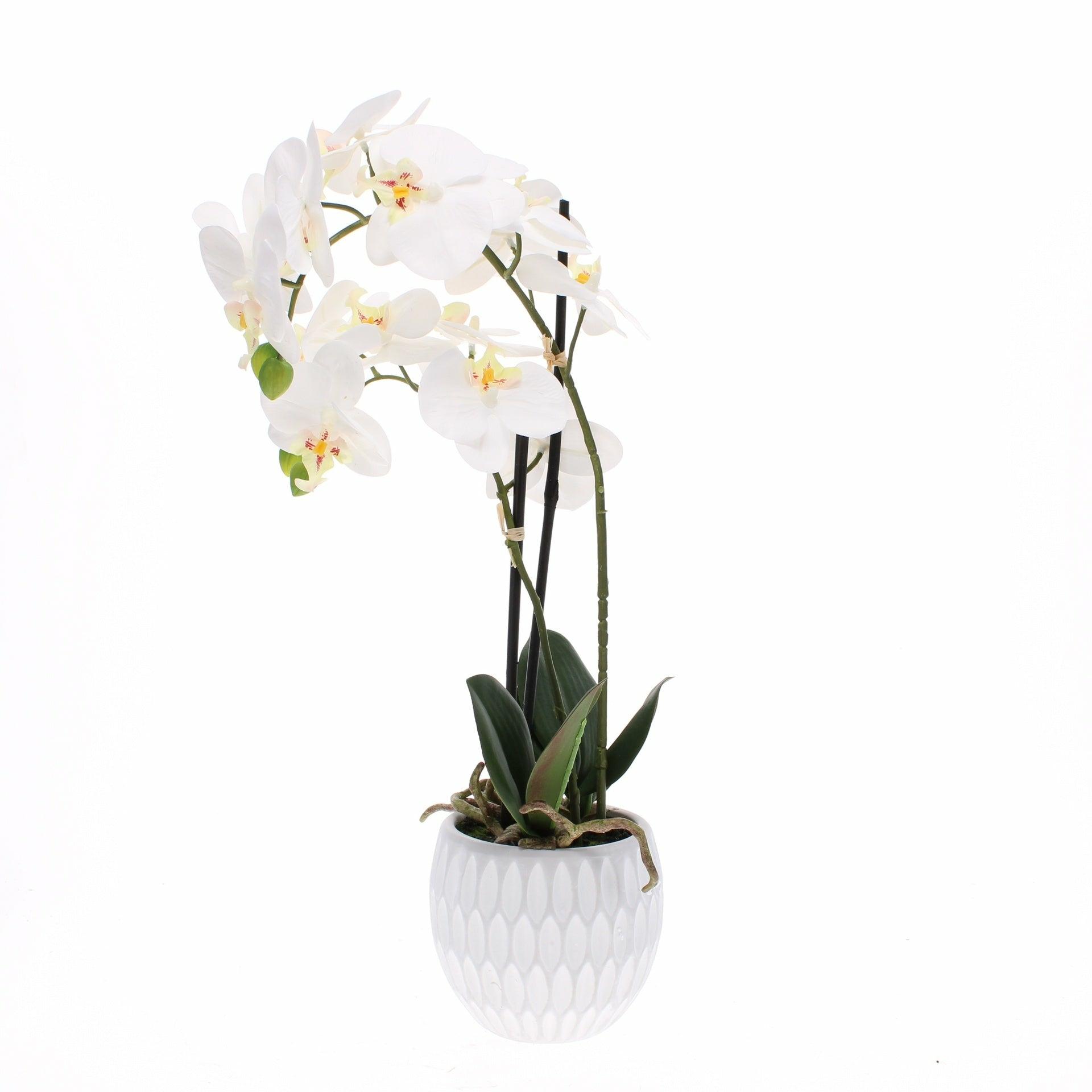Faux Orchid in Pot, Medium