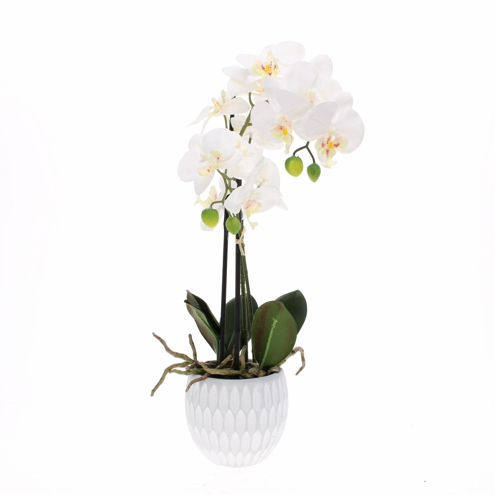 Faux Orchid in Pot, Medium
