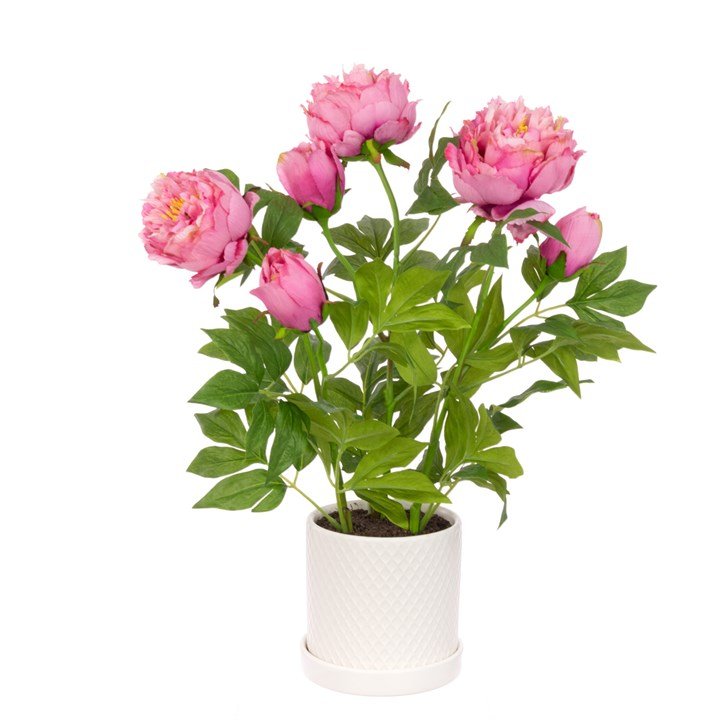 Faux Peony in White Pot