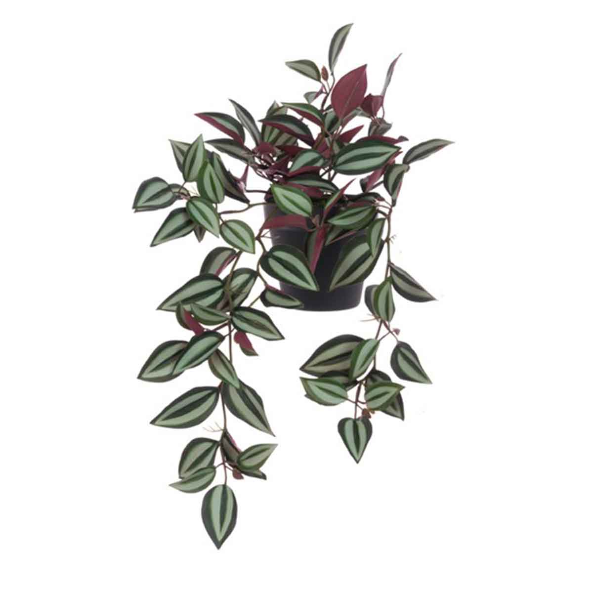 Faux Tradescantia House Plants