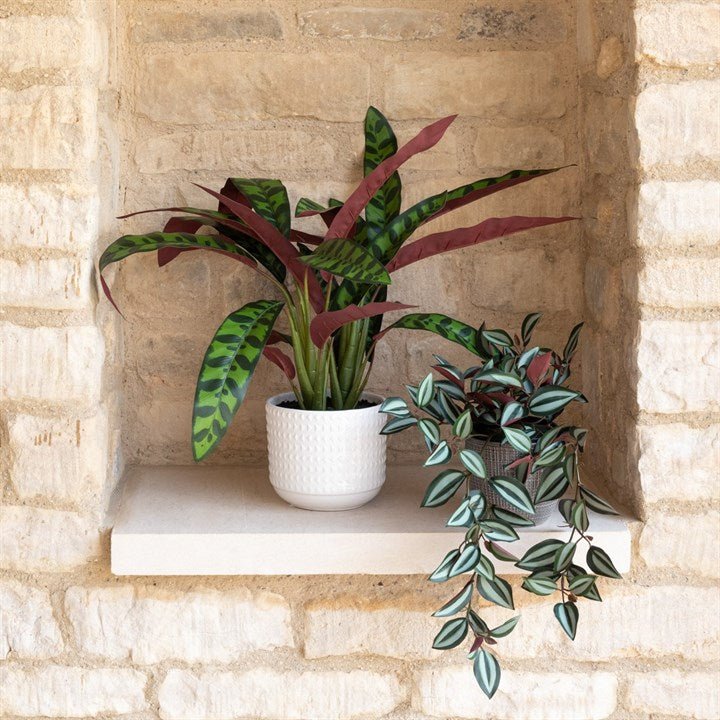 Faux Tradescantia House Plants