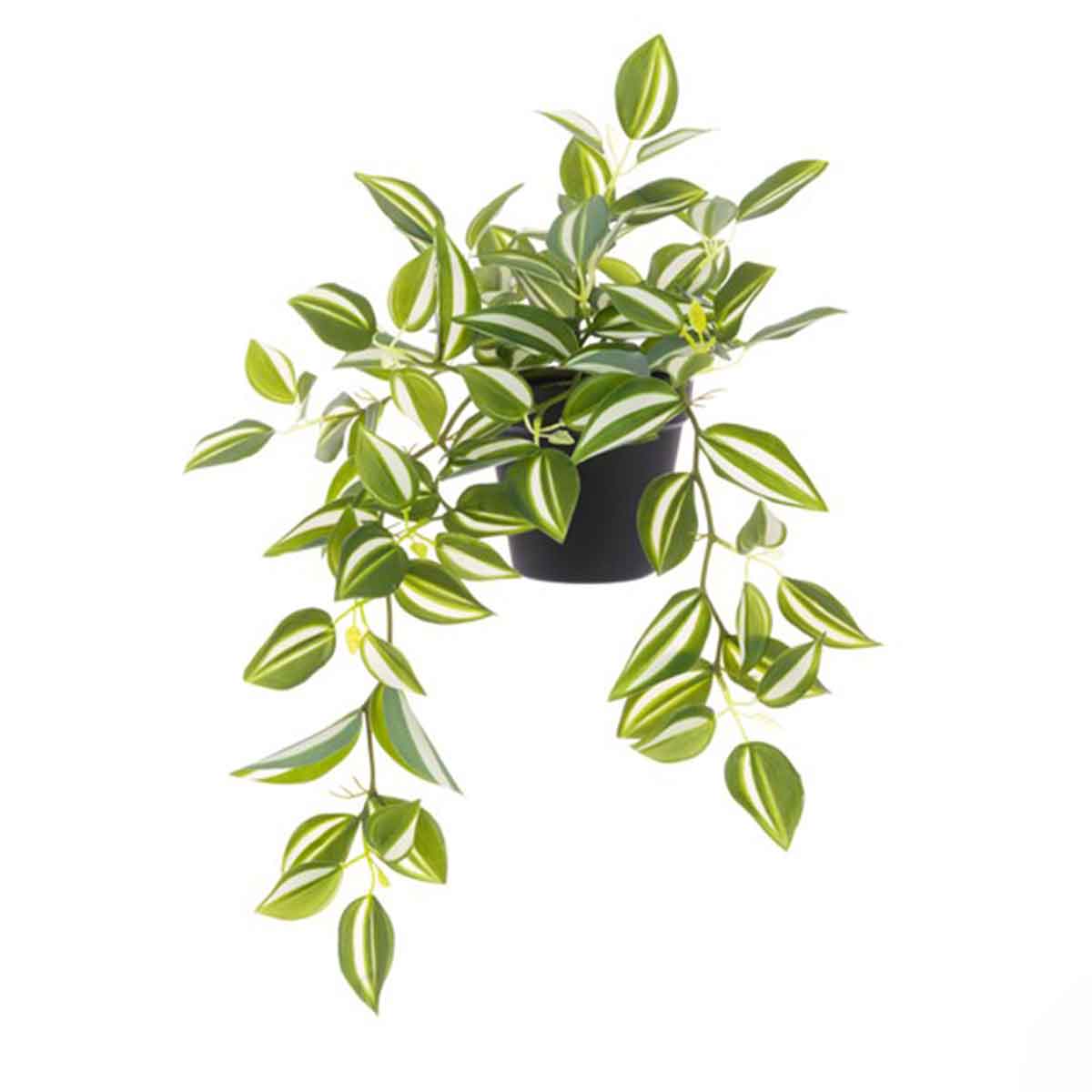 Faux Tradescantia House Plants