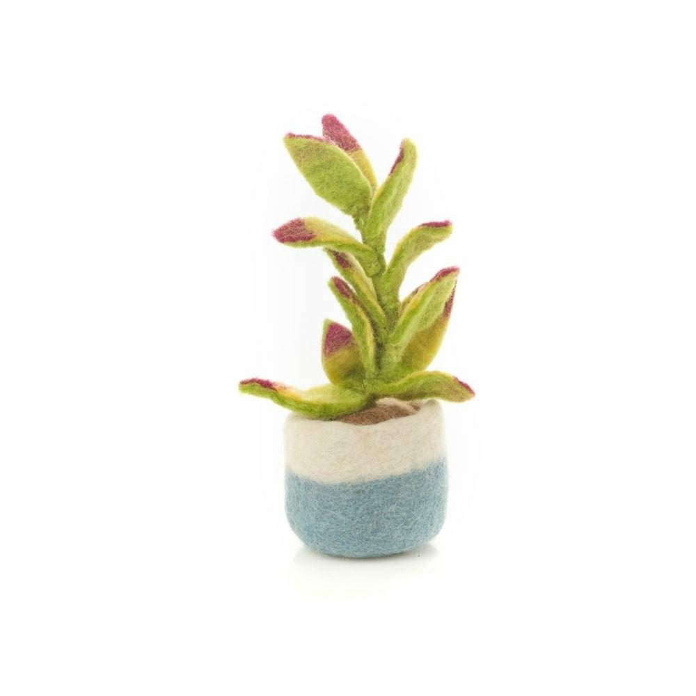 Felt Houseplant Cactus Decorations, Assorted