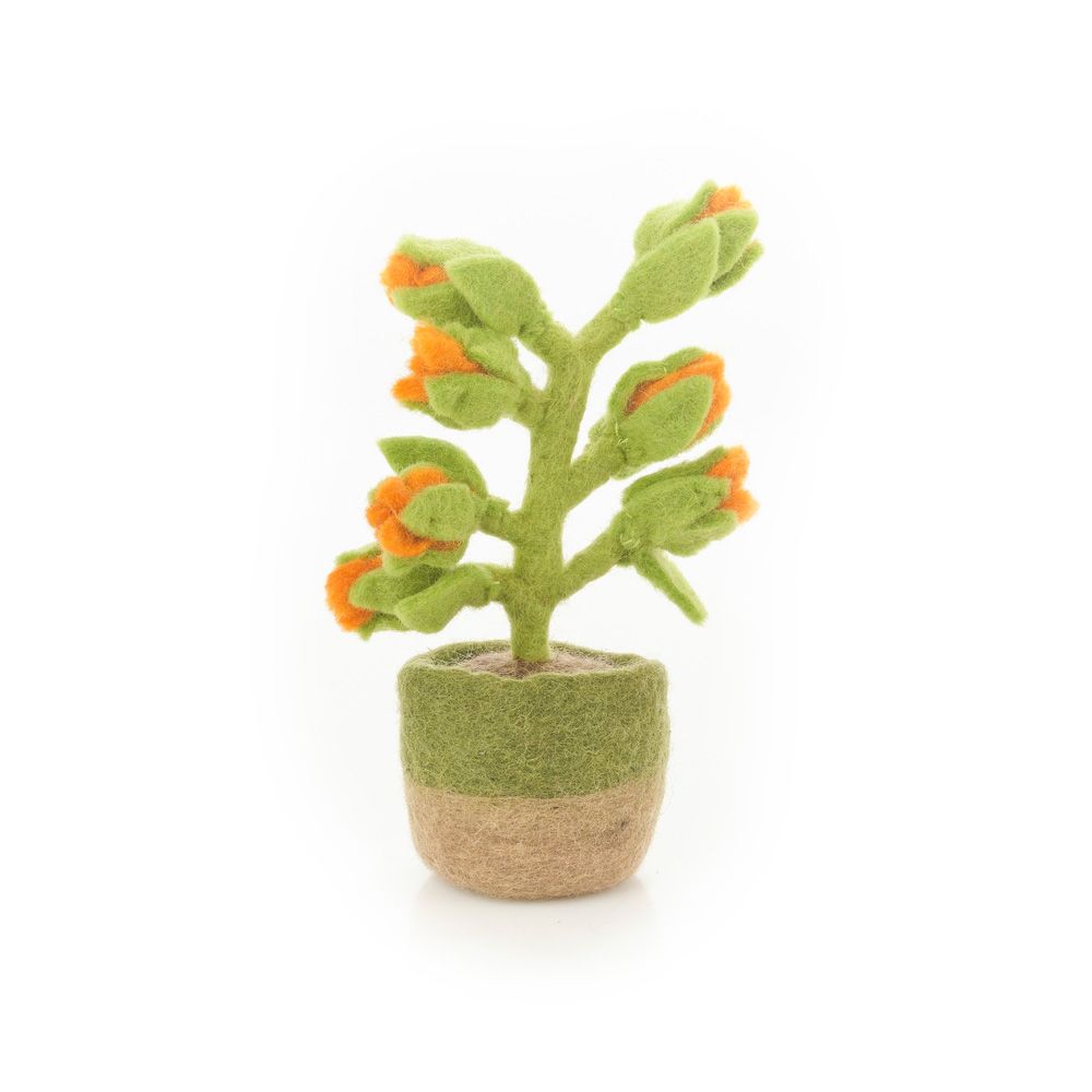 Felt Houseplant Cactus Decorations, Assorted