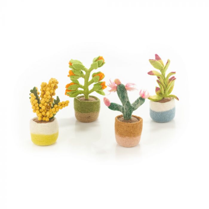 Felt Houseplant Cactus Decorations, Assorted - Angela Reed -