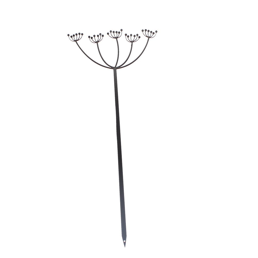 Flowering Cow Parsley Pot Stem