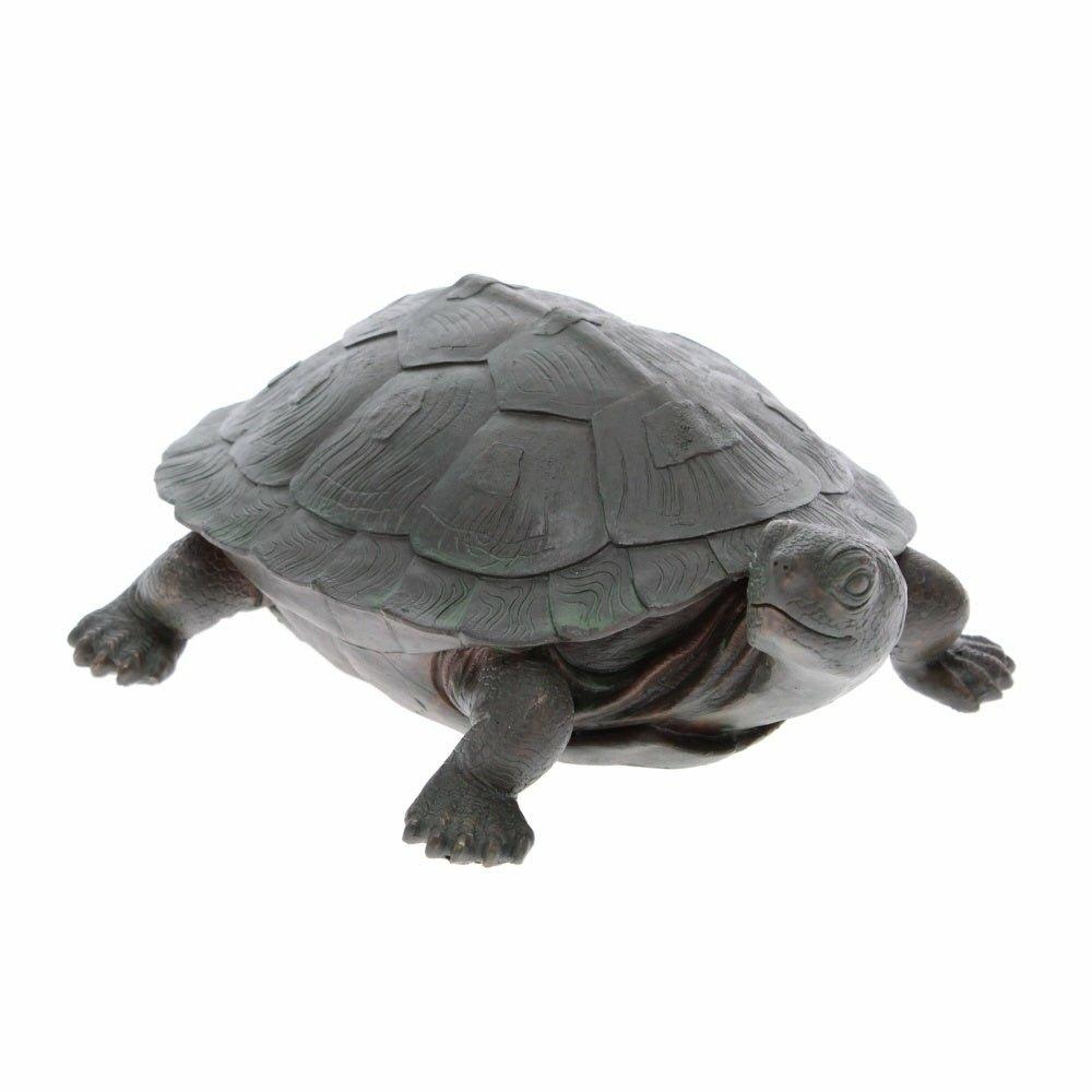 Garden Tortoise with Turned Head