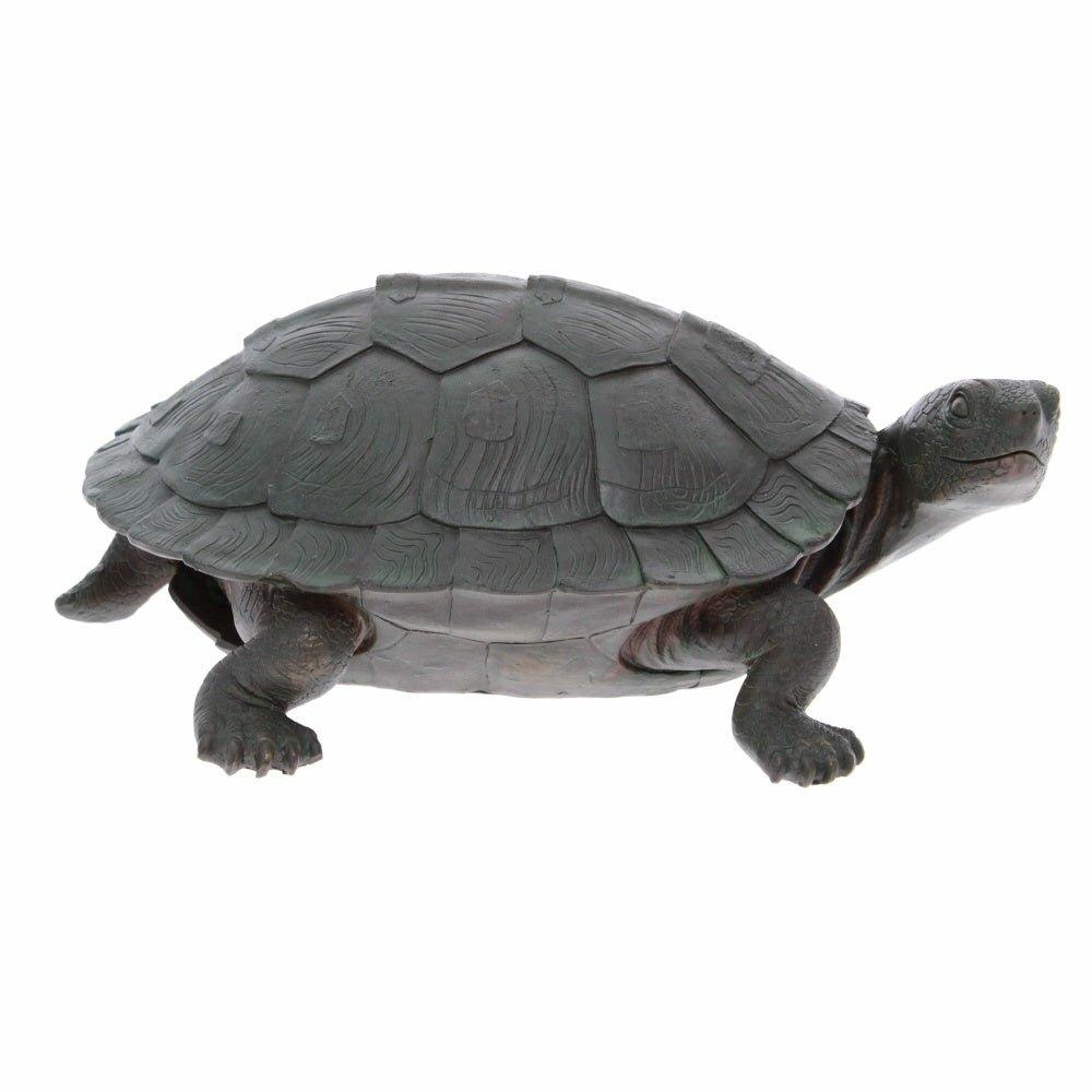 Garden Tortoise with Turned Head