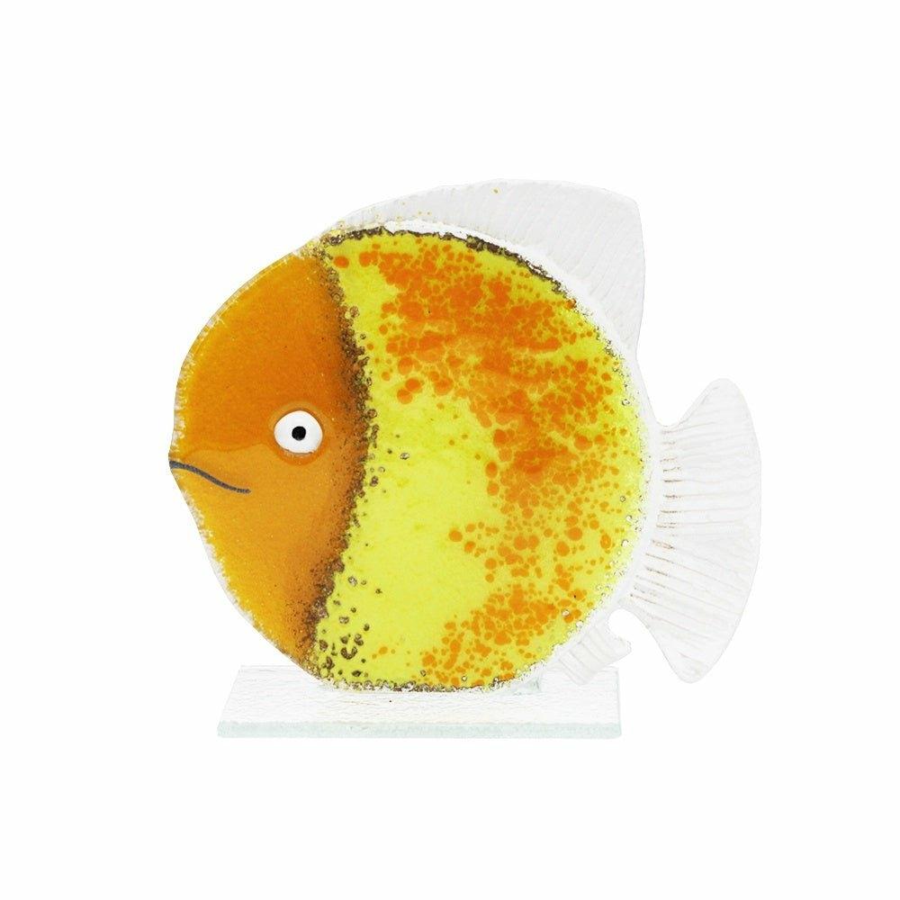 Glass Fish, Sunrise, Small