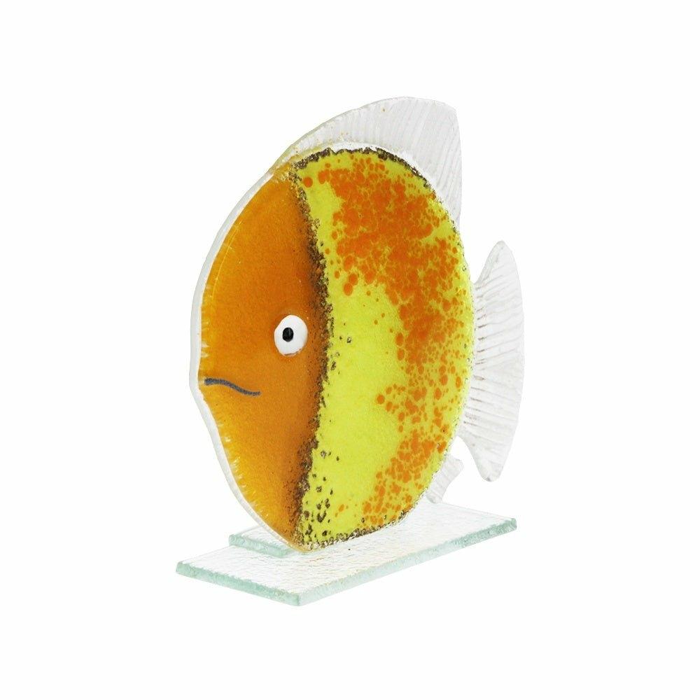 Glass Fish, Sunrise, Small