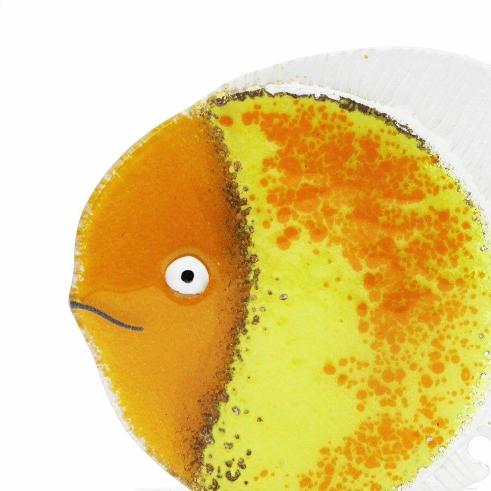 Glass Fish, Sunrise, Small